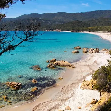 Beau T2 - Piscine Chauffee Apartamento Serra-di-Ferro (Corsica)