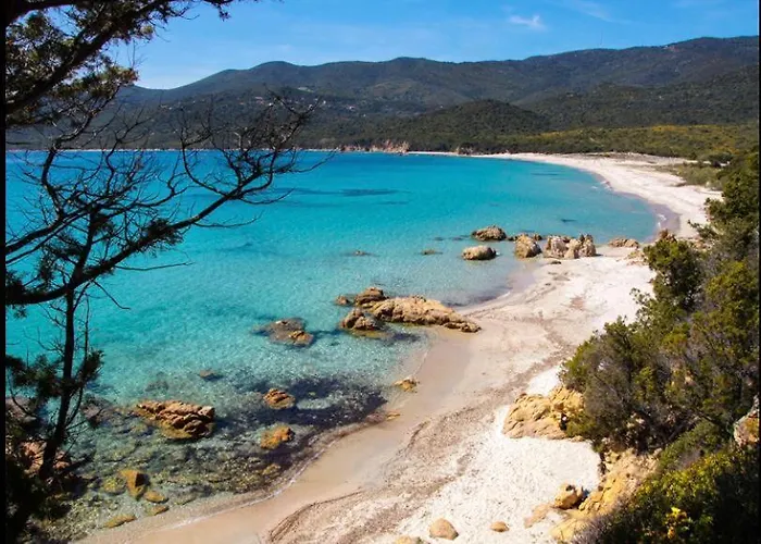 Beau T2 - Piscine Chauffee Daire Serra-di-Ferro (Corsica)